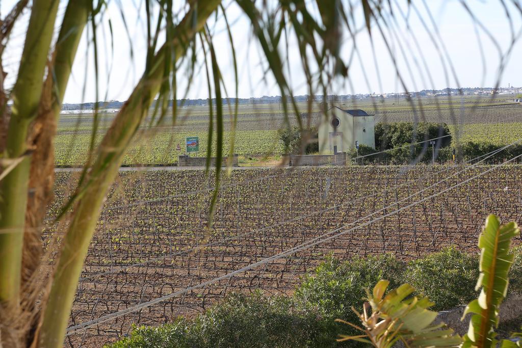 Eco Green La Vigna Leverano Rom bilde