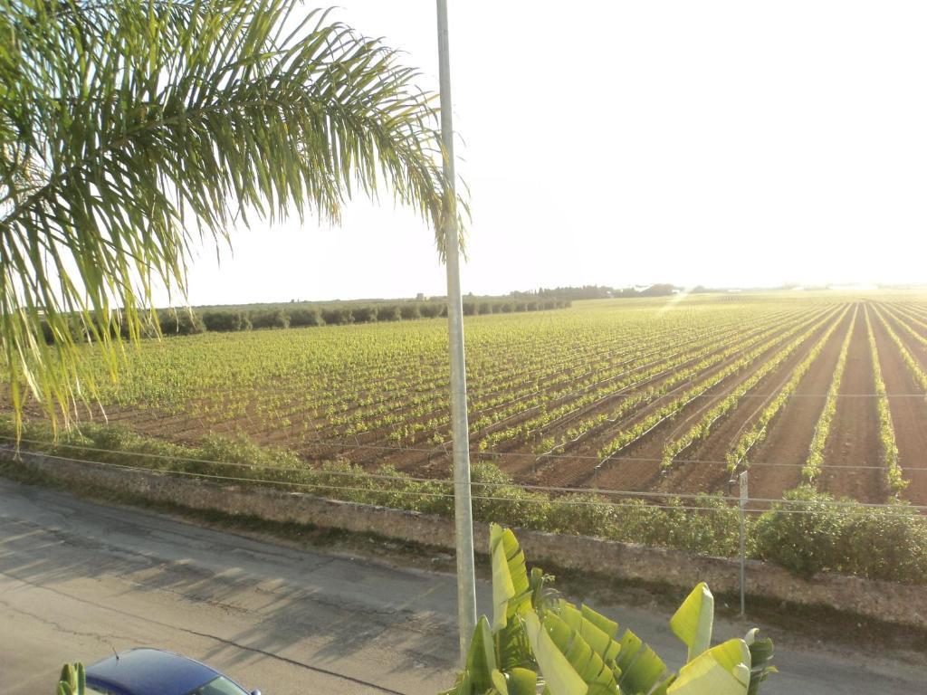 Eco Green La Vigna Leverano Rom bilde